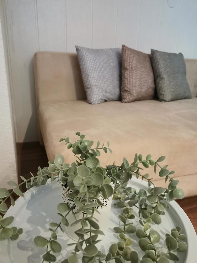 Riverside Appartements Lieserbrücke 外观 照片